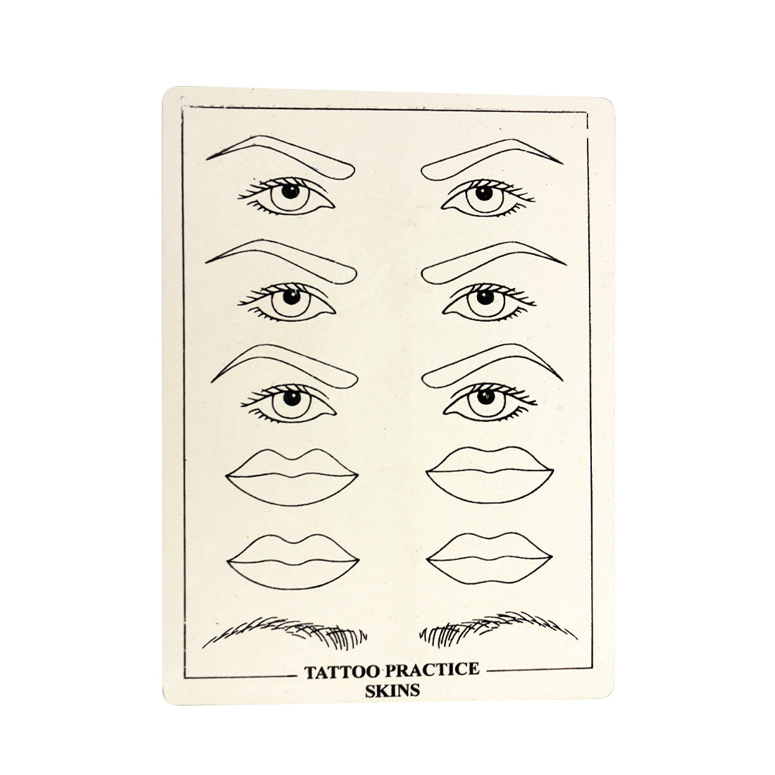 Dragonhawk Practice Practice skin for permanent makeup – DRAGONHAWK